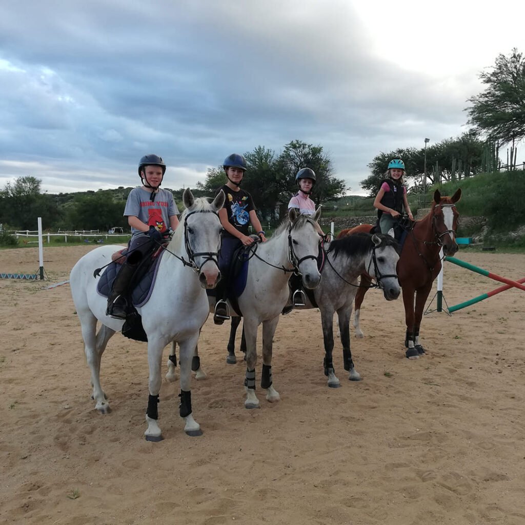 Four young riders on school horses in the sand arena