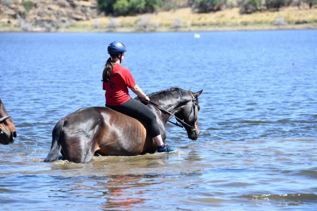 Rider in a red shirt swimming a dark horse in a dam